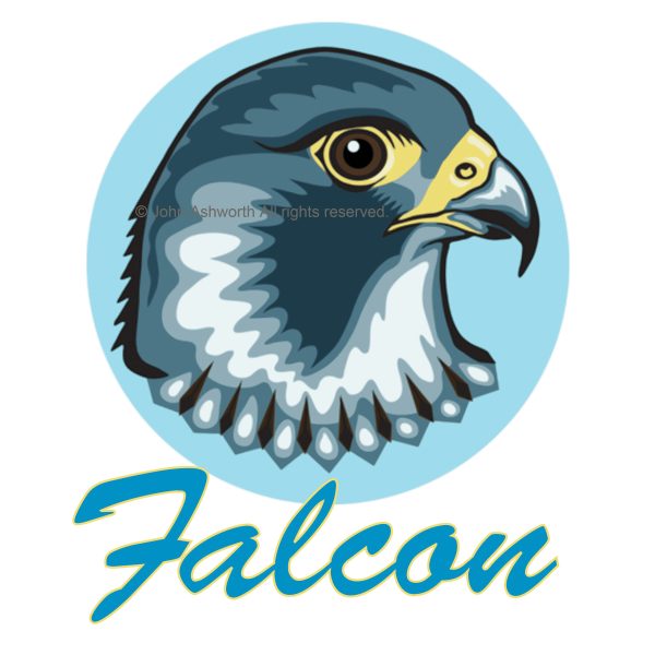 Falcon Bird Nature Environment Symbol Logo Icon Brand ©2018 John Ashworth