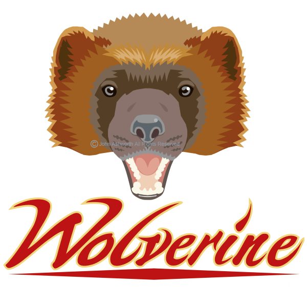 Wolverine Fun Positive Animal Nature Character Icon Brand Symbol Logo with Calligraphy Lettering ©2020 John Ashworth