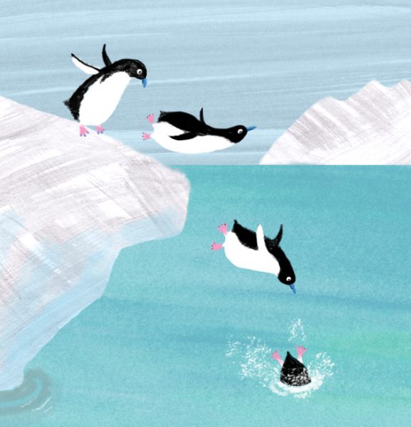 leaping penguins