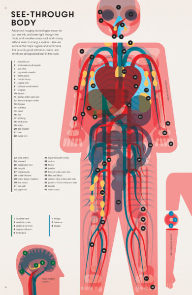 The Human Body P1_119_V11.pdf