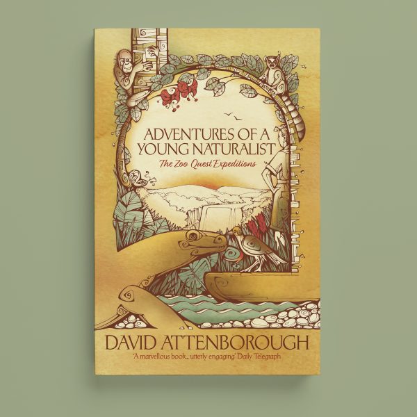 Adventures of a Young Naturalist. Mock-up book cover illustration