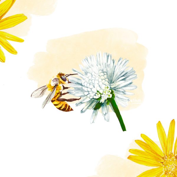 Botanicals, Bee