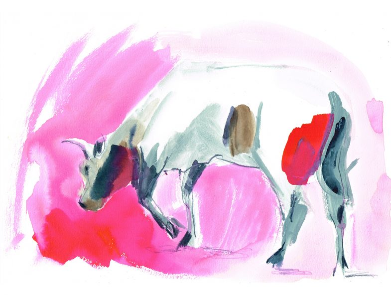 Ox