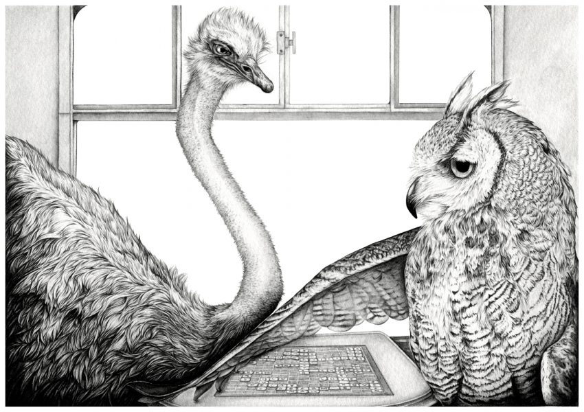 The Ostrich and The Owl