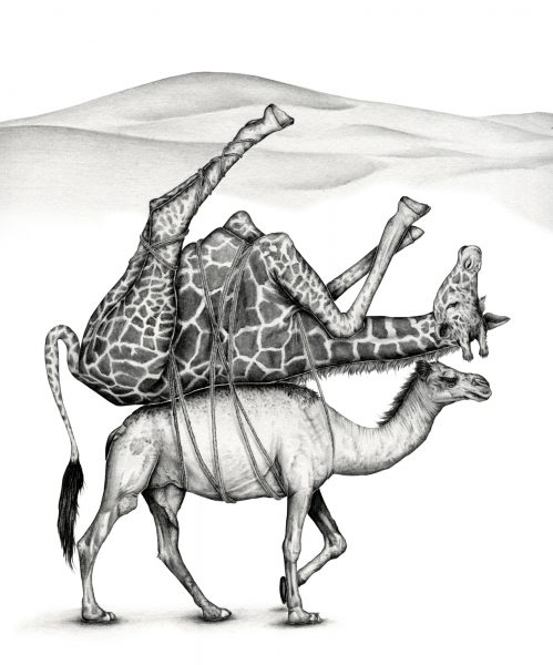 King George's Giraffe