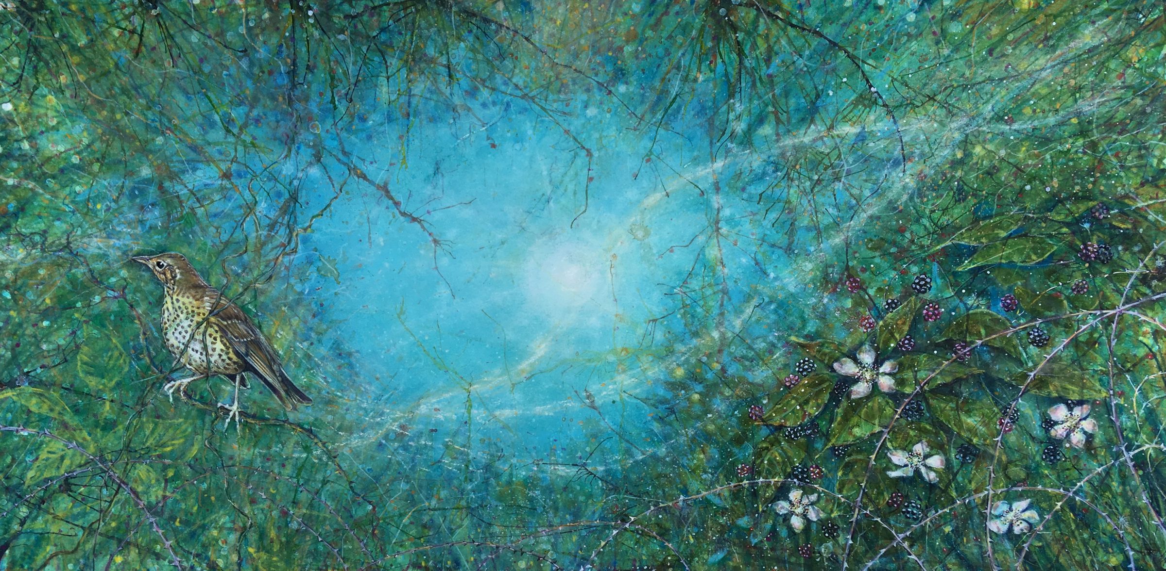 cathy-fisher-the-aoi