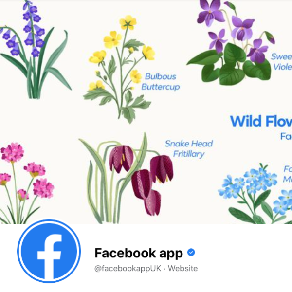 Facebook App Banner Artwork