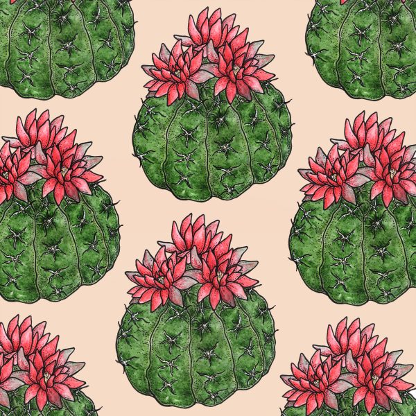Cacti Flora