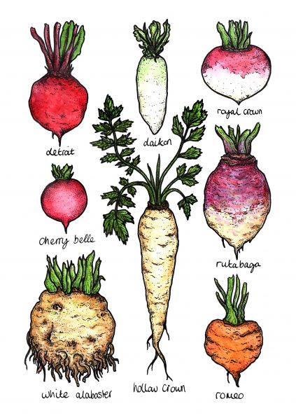 rootveg