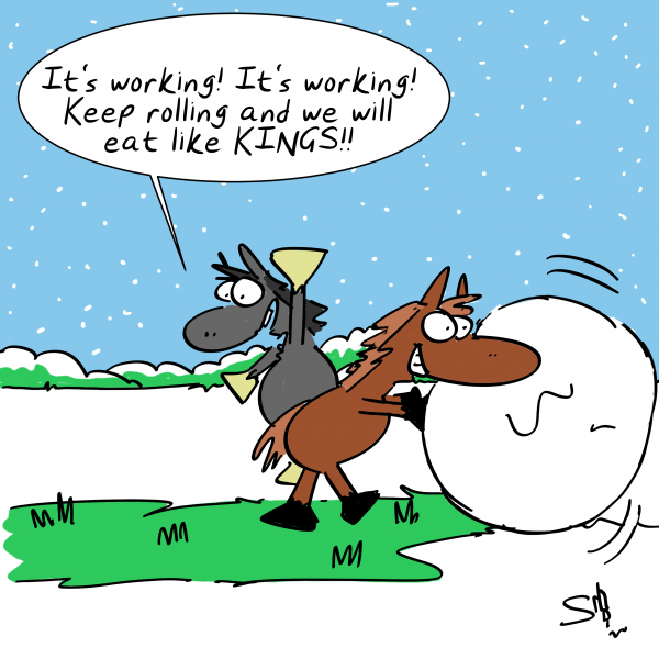 Equestrian Cartoon 2