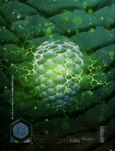 Biomaterials / Nature Outlook