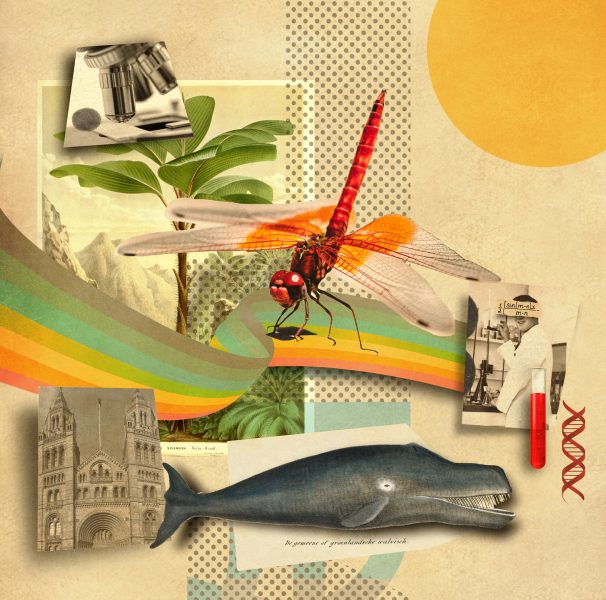 Inventors and Nature / Waitrose Weekend
