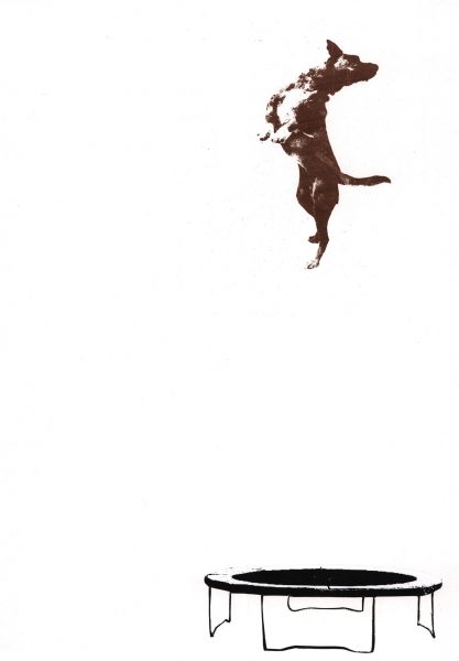 Jump Dog and Trampoline