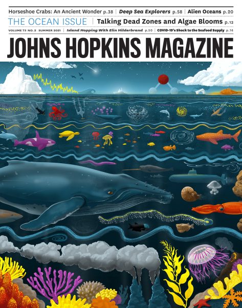 Oceans for John Hopkins Magazine