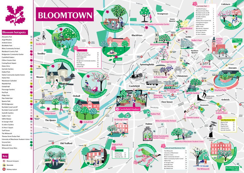 Bloomtown Map for NT