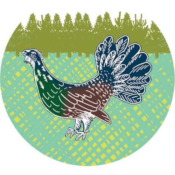 AAA Corner Capercaillie rgb