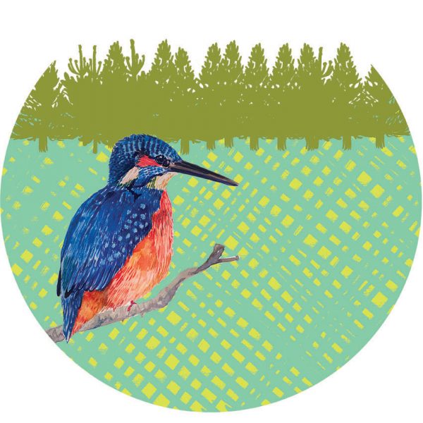 AAA Corner Kingfisher web