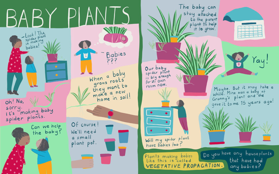 Baby Plants Comic. Written and illustrated by Tasha Goddard.