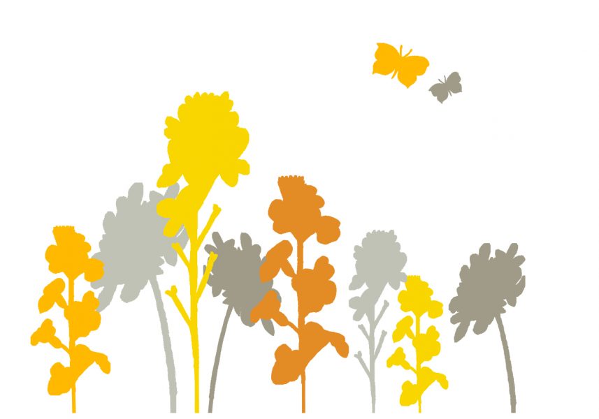 CC Autumn in colour yellow