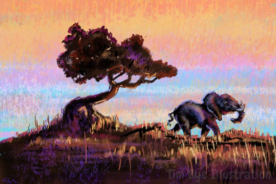 Tim Bye Elephant at Sunset.