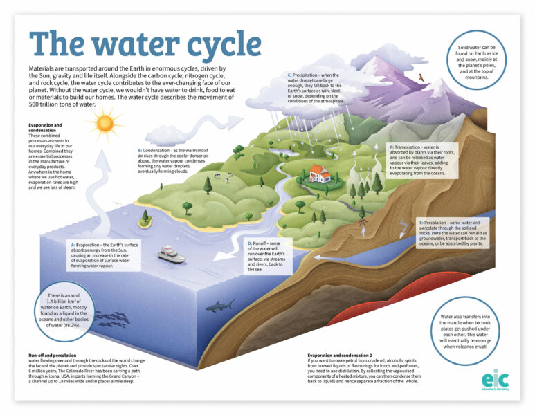 The Water Cycle – Infographic