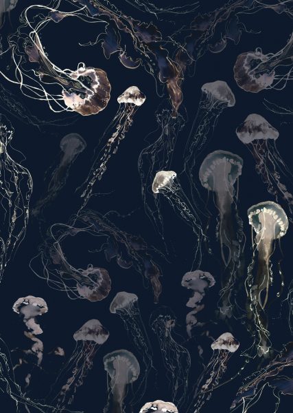 Jellyfish