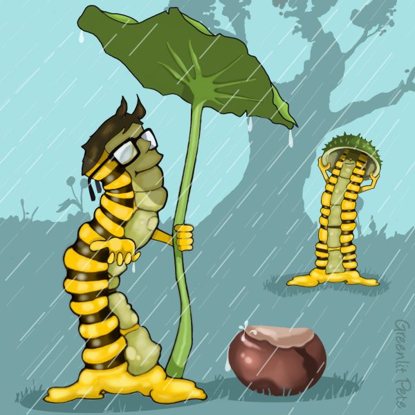 Rain_Stops_Play