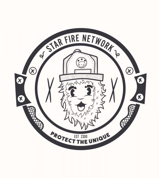 Star Fire network logo