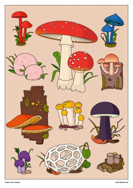 Mushrooms of NZ