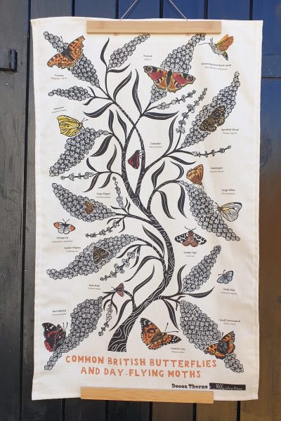 Butterflies and Moths wildlife ID tea towel