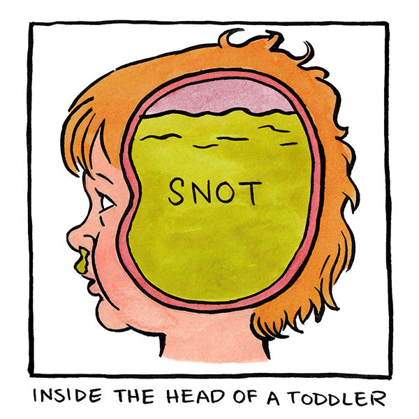 Inside the head of a Toddler