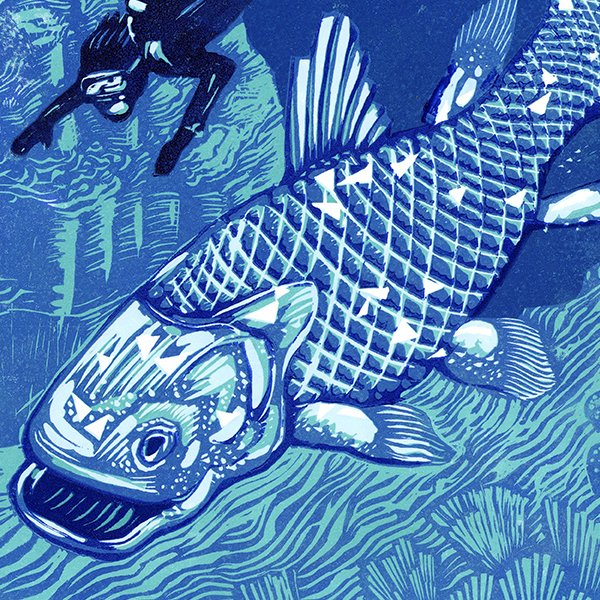Coelacanth, 'Above, Below and Long Ago'