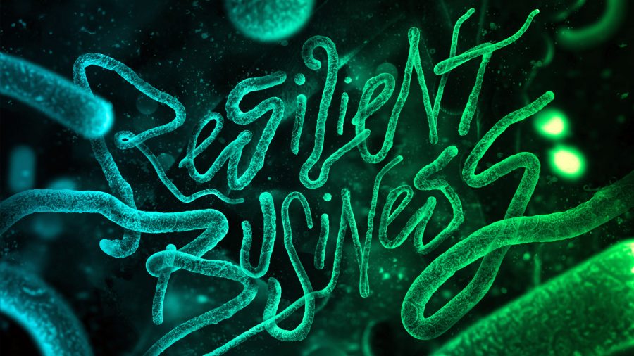 Resilient Business / BCG Perspectives