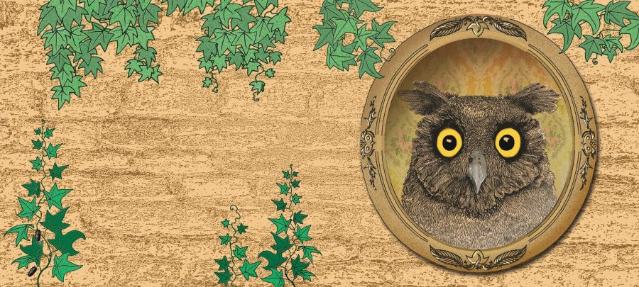 owl-album-cover-design