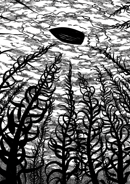 ink illustration black and white by sally barnett
