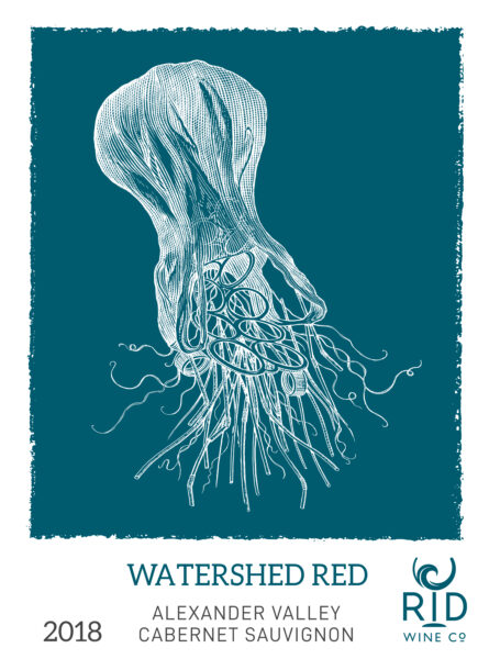 Flotsam Jellyfish