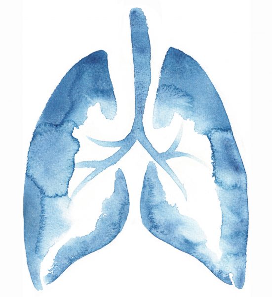 Medical - Pharmaceutical - Health - LUNGS