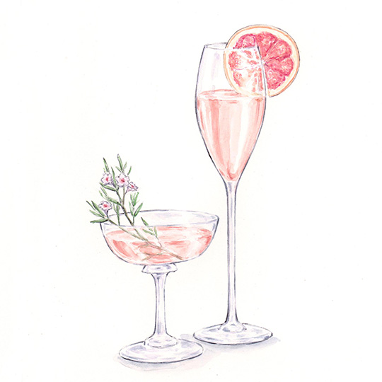 Watercolor painting of pink cocktails / drinks