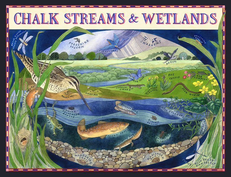 chalk streams and wetlands board