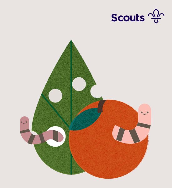 Scouts Association