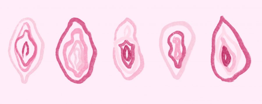 Vaginas: Illustration for VERVE blog post 'Please Yourself'