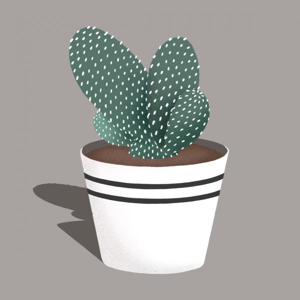 Illo_Cactus_v1