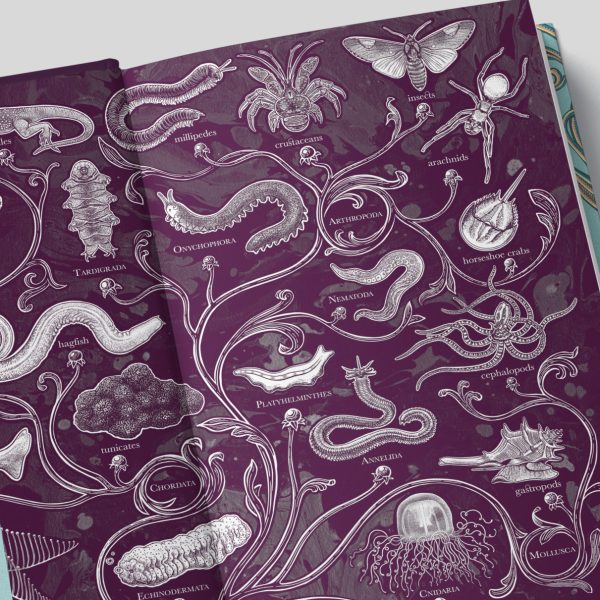 Modern Bestiary End Papers