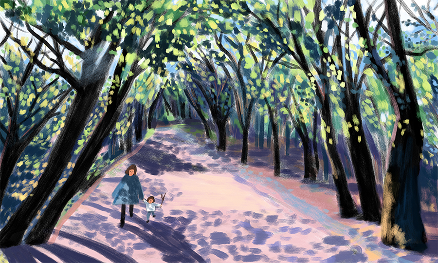 Spring Walk in the Forest