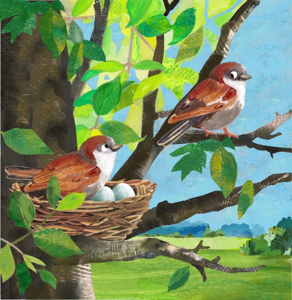 Sparrows and their Nest
