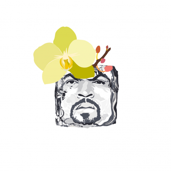 Vanilla Ice Cube