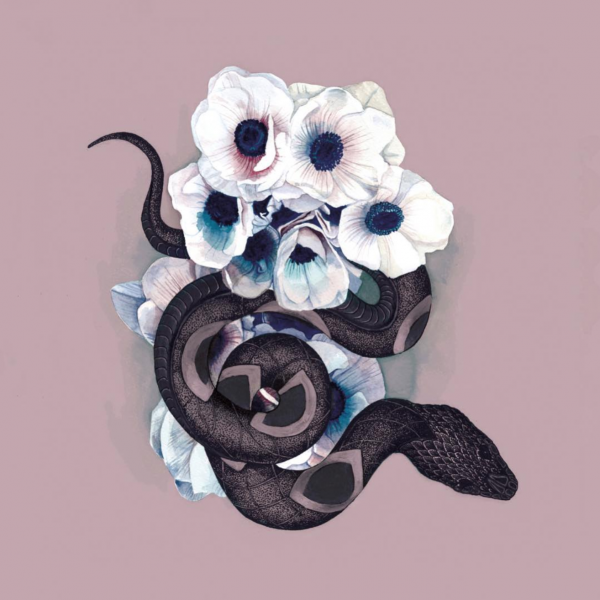 Snake and anemones