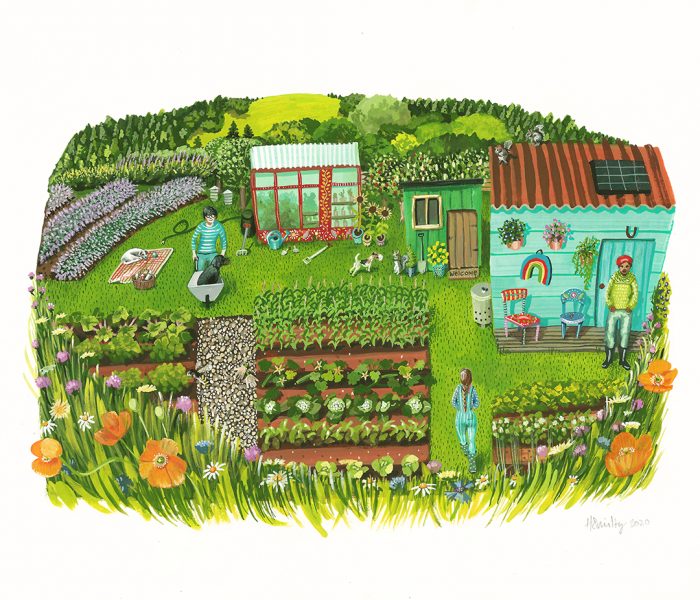 The Allotment