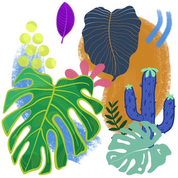 Jungle