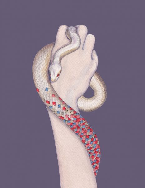 Embroidered snake